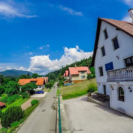 Πανσιόν Sunny Hill Svoboda nad Úpou